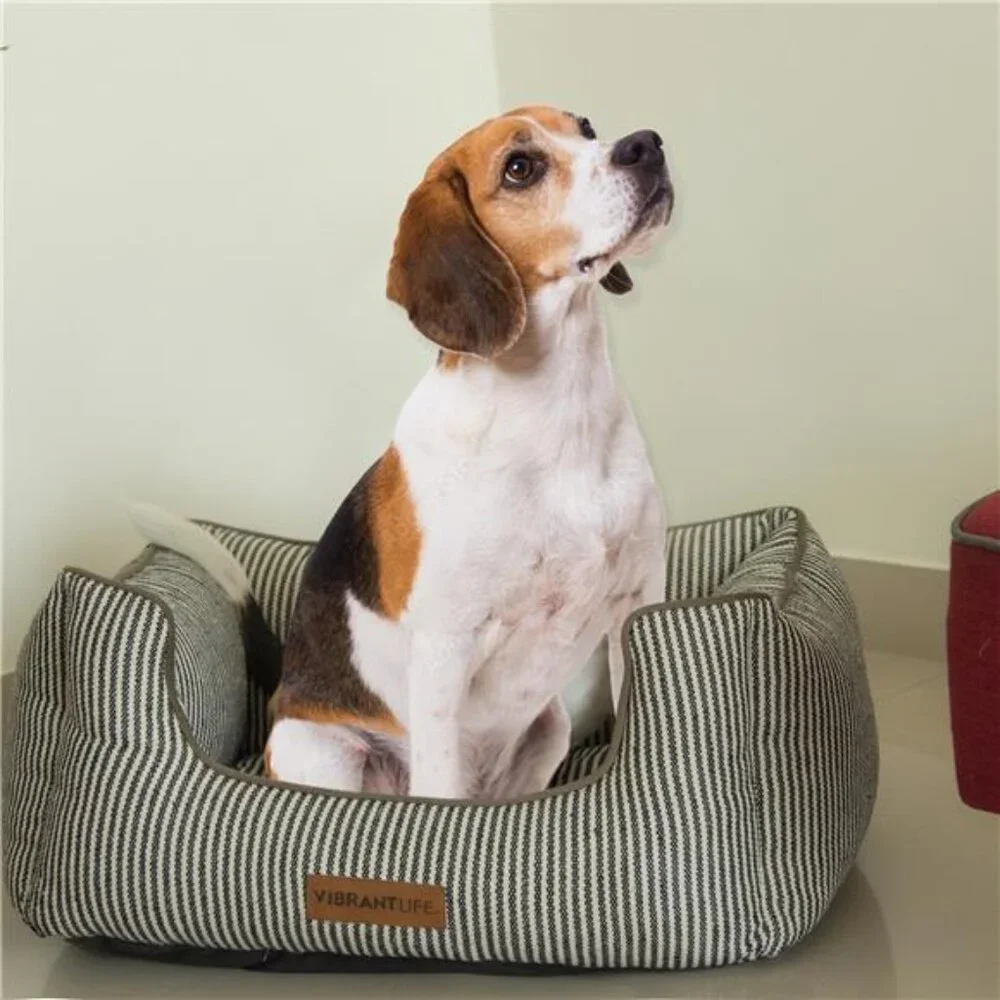 High Wall Striped Bed for Dogs, High Walled Cuddler, Striped Measuring 27